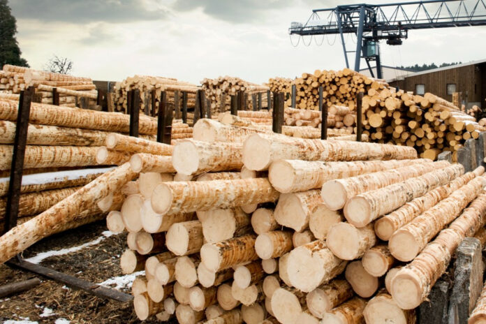Применение и развитие технологий склейки древесины в современной индустрии