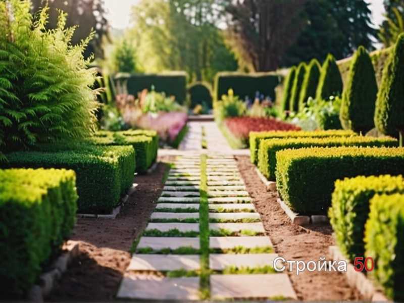 Теневыносливые и светолюбивые сорта: что посадить с северной и южной стороны