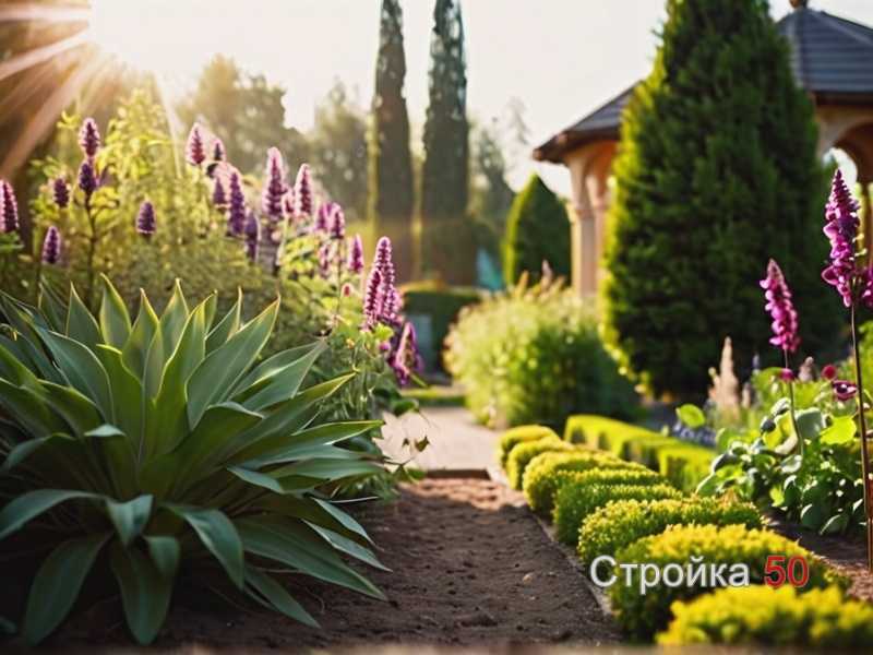 Таблица рекомендаций по посадке ежевики