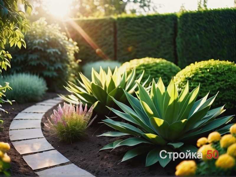 Особенности подкормки в зависимости от почвы