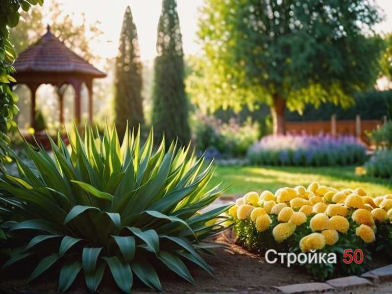 Уход за садом и поддержание гармонии пространства круглый год