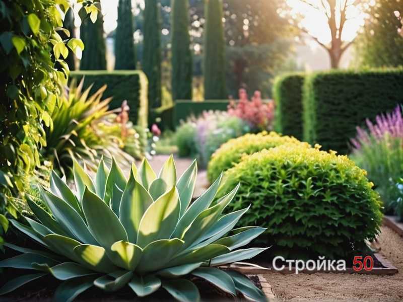 Полив и подкормки