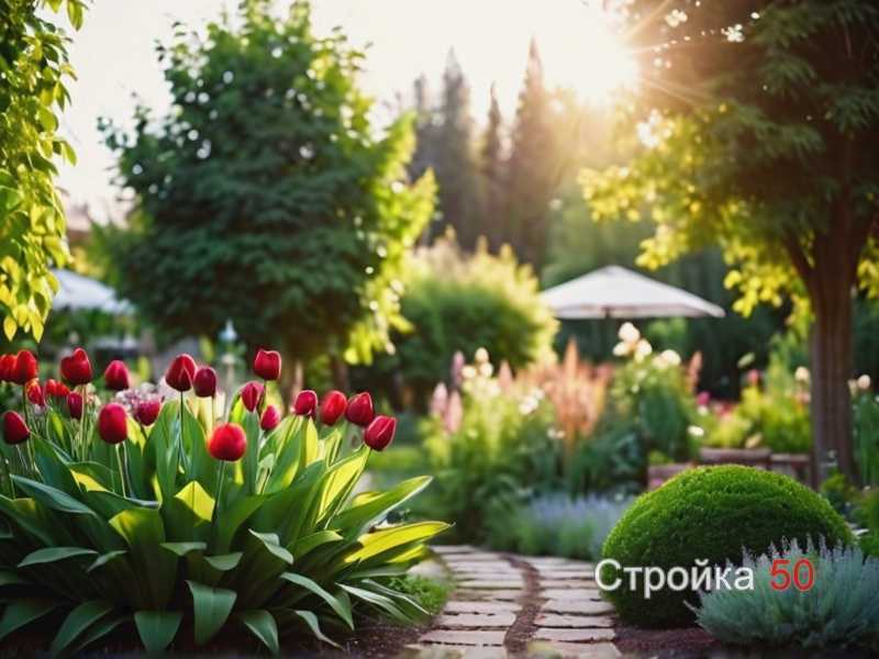 Подготовка участка и состава почвы для посадки