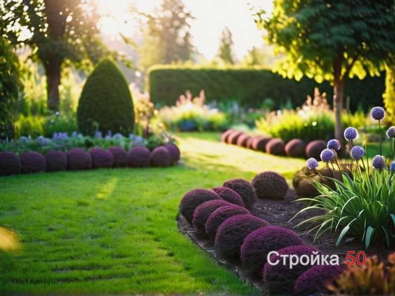 Сочетание растений по высоте и цветовой гамме