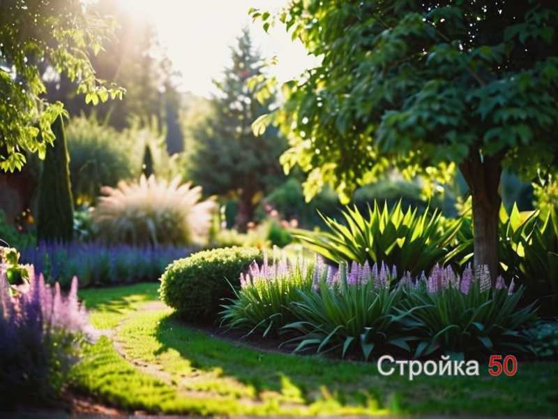 Примеры компоновки зон отдыха