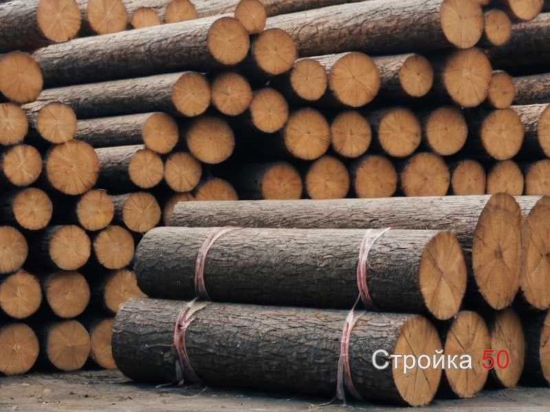 Сравнение мягких и твёрдых пород для каркасных конструкций