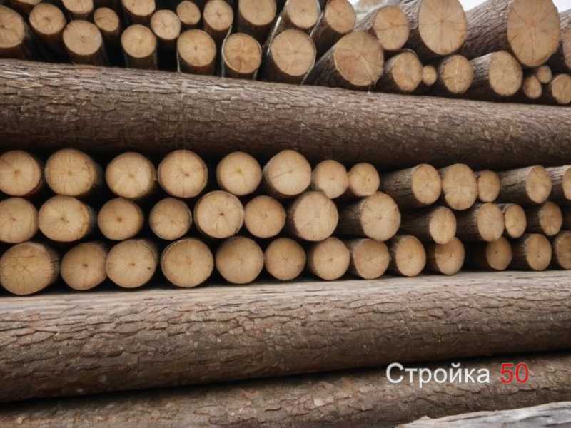 Особенности поведения в различных климатических условиях