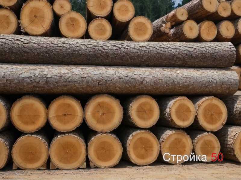 Защита древесины от влаги и насекомых