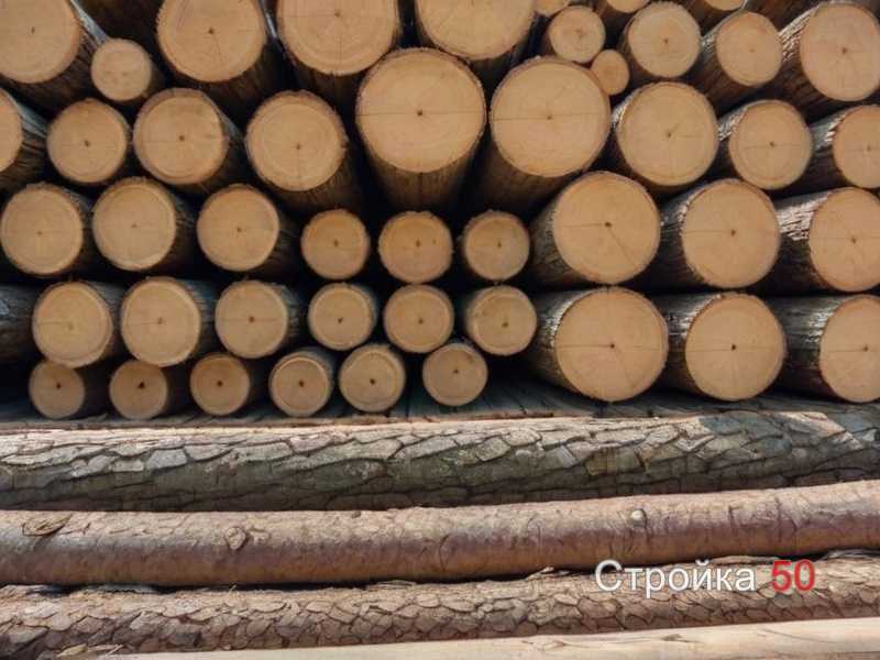 Применение хвойных пород в отделке и дизайне