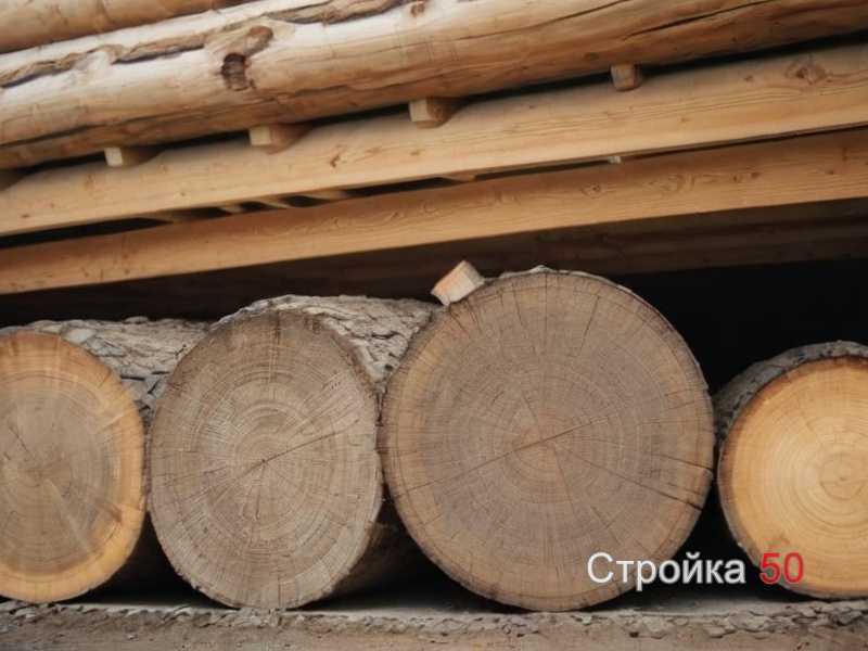 Контроль условий и проверка состояния
