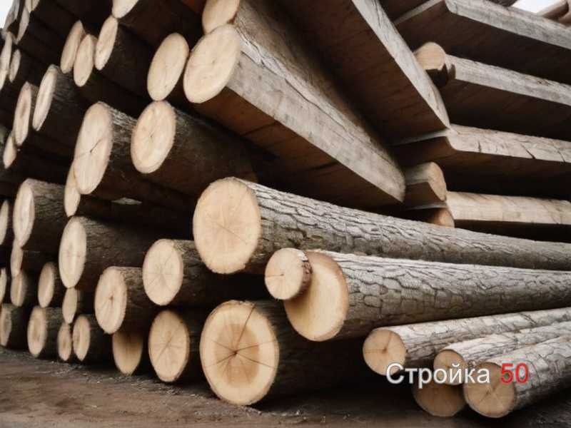 Сравнение твёрдых и мягких пород для настила террасы