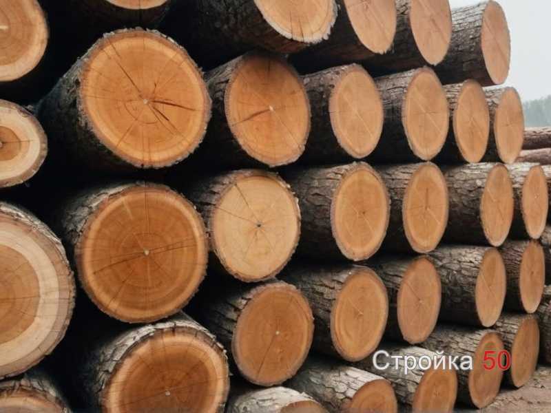 Защита и оформление