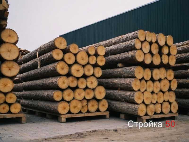 Выбор породы дерева: светлые оттенки для визуального расширения пространства