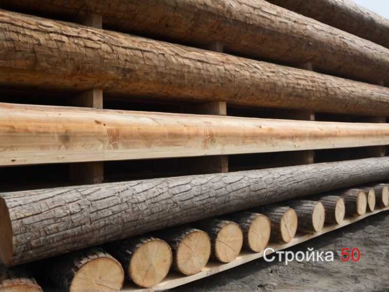 Определение устойчивости древесины к влаге и потемнению