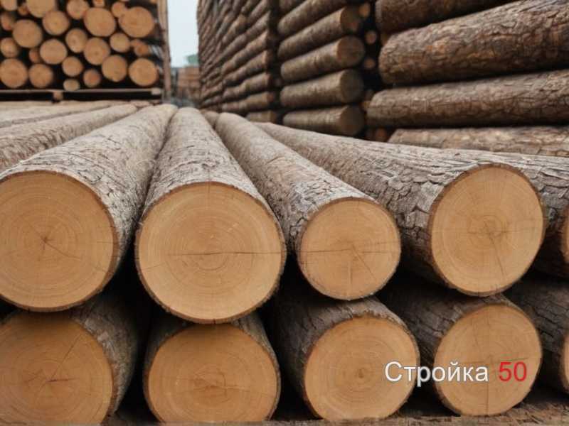 Сравнение свойств хвойных и лиственных пород для облицовки