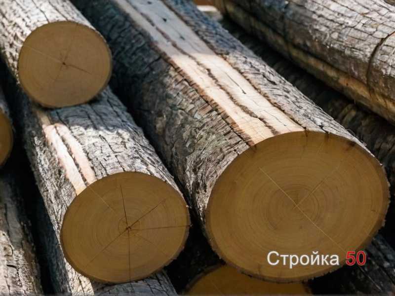 Влияние влажности и температуры на долговечность древесины