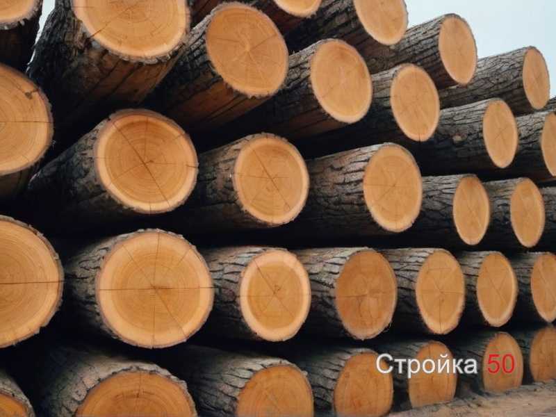Ошибки при создании акцентной стены и как их избежать