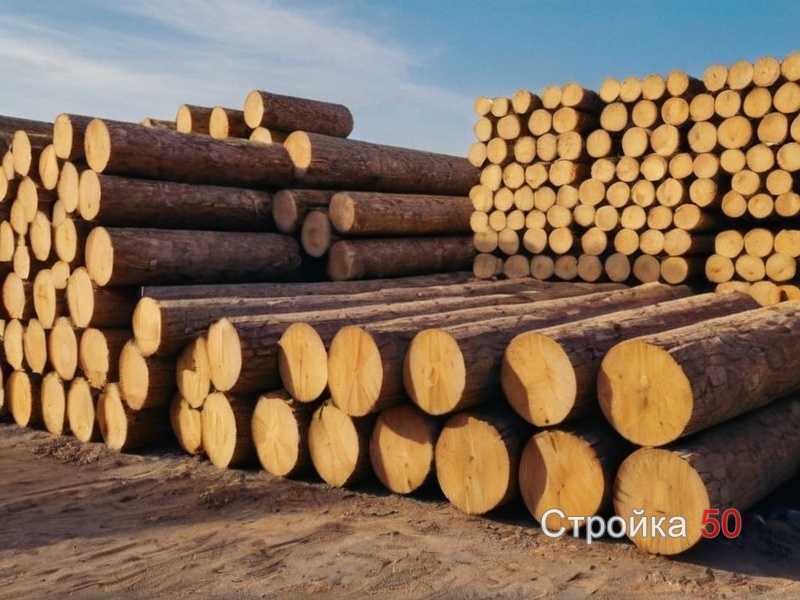 Коррекция деформаций и трещин на древесине после воздействия влаги