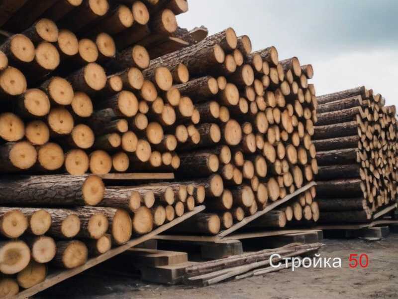 Пошаговая инструкция по нанесению защитного состава