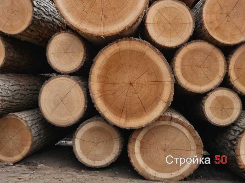 Полезные советы