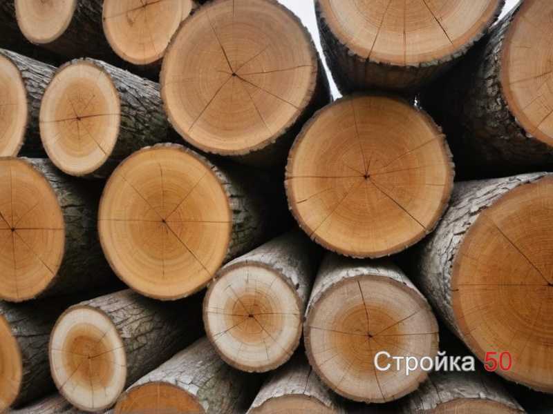 Сравниваем влагостойкость разных древесных пород