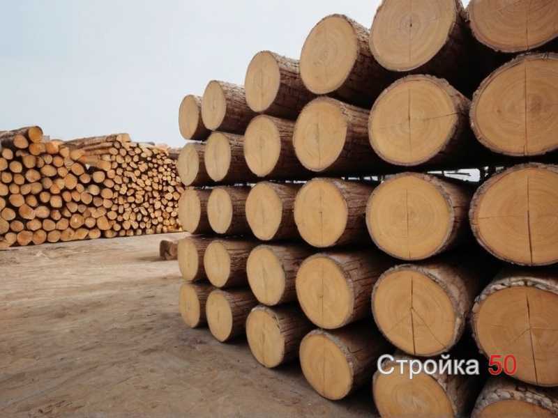 2. Размеры дверного полотна