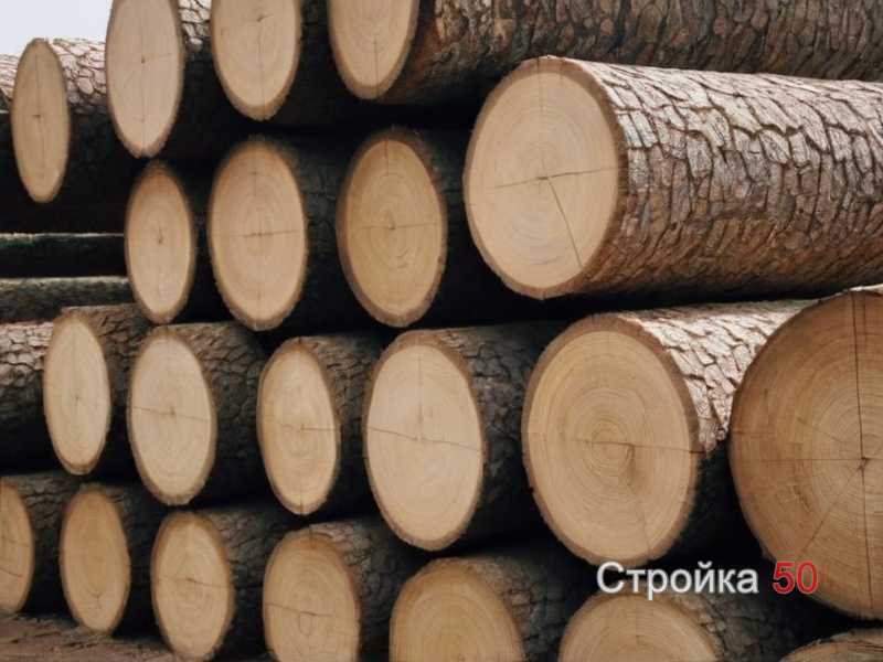 Тёплые и умеренные регионы