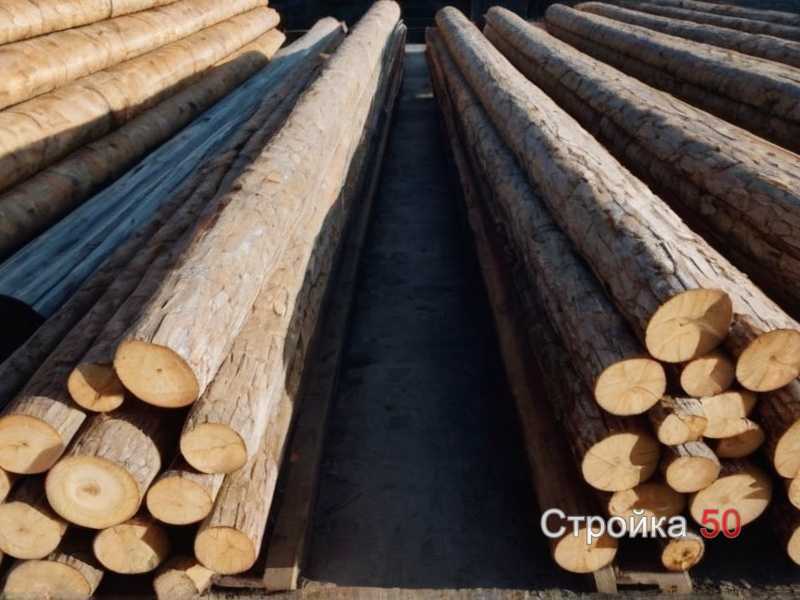 Критерии выбора антисептика