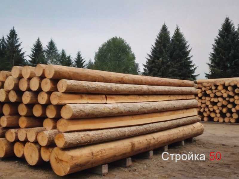 Подбор древесины по цвету и возможности окрашивания