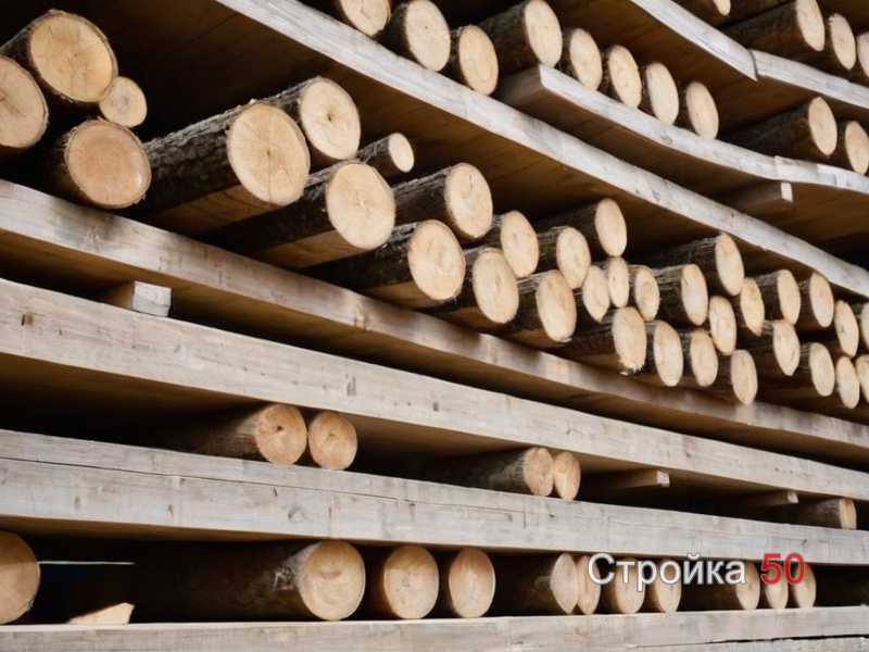 Выбор древесины и оценка её состояния перед обработкой