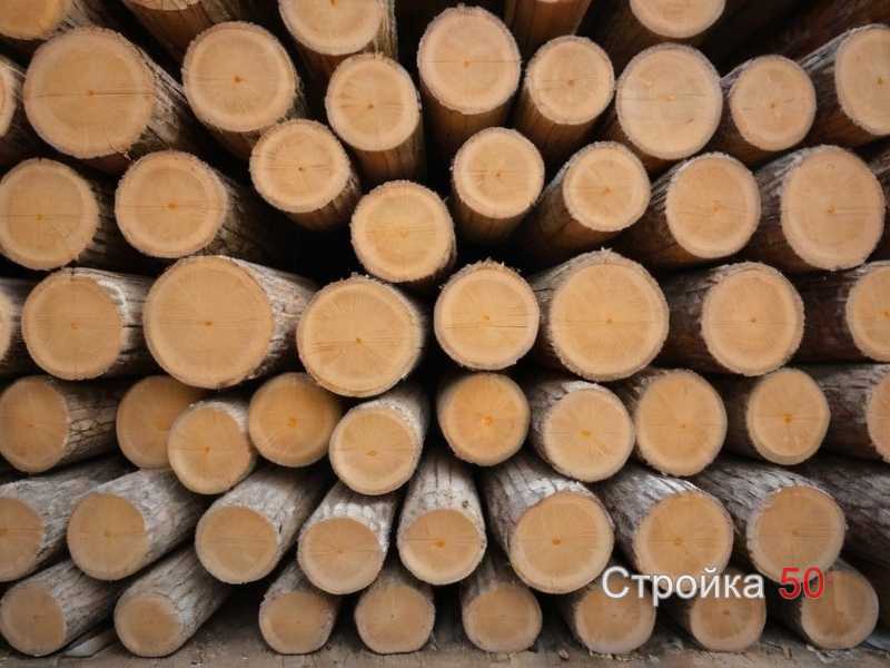 Выбор древесины и её обработка для дверного полотна