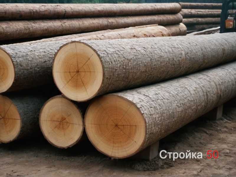 Определение несущей способности деревянных балок
