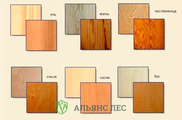 Разновидности древесины и их особенности